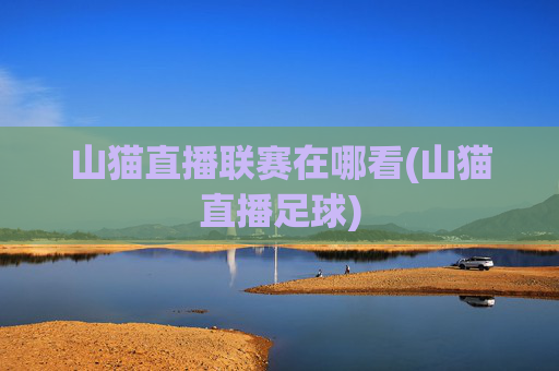 山猫直播联赛在哪看(山猫直播足球)