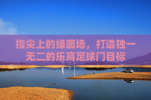 指尖上的绿茵场，打造独一无二的乐高足球门目标