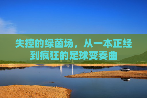 失控的绿茵场,从一本正经到疯狂的足球变奏曲