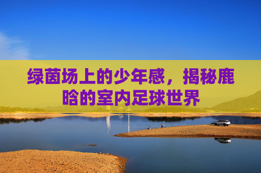 绿茵场上的少年感，揭秘鹿晗的室内足球世界