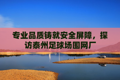 专业品质铸就安全屏障，探访泰州足球场围网厂