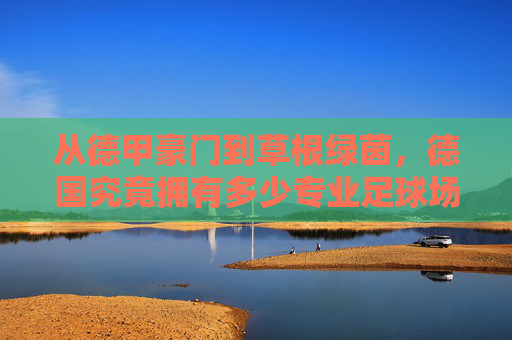 从德甲豪门到草根绿茵,德国究竟拥有多少专业足球场地?