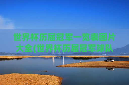 世界杯历届冠军一览表图片大全(世界杯历届冠军球队)
