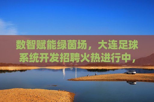 数智赋能绿茵场,大连足球系统开发招聘火热进行中,诚邀精英共创数字足球新纪元