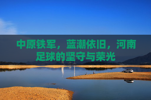中原铁军,蓝潮依旧,河南足球的坚守与荣光