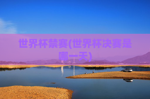 世界杯禁赛(世界杯决赛是哪一天)