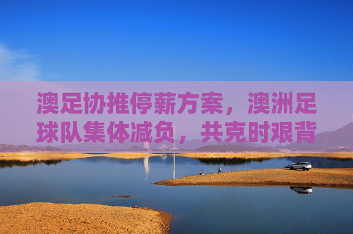 澳足协推停薪方案,澳洲足球队集体减负,共克时艰背后的深层博弈