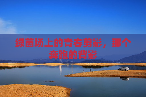 绿茵场上的青春剪影,那个奔跑的背影