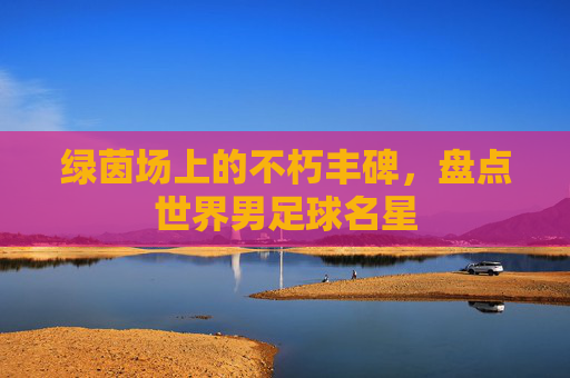 绿茵场上的不朽丰碑,盘点世界男足球名星