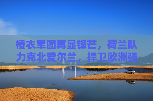 橙衣军团再显锋芒,荷兰队力克北爱尔兰,捍卫欧洲强队尊严