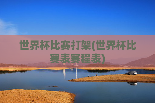 世界杯比赛打架(世界杯比赛表赛程表)