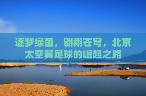 逐梦绿茵,翱翔苍穹,北京太空翼足球的崛起之路