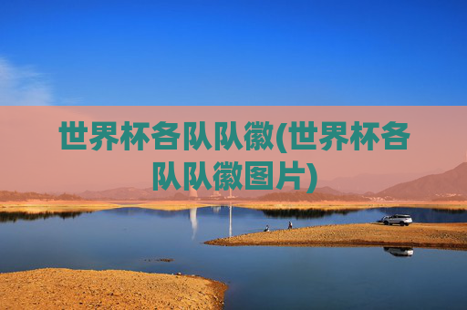 世界杯各队队徽(世界杯各队队徽图片)