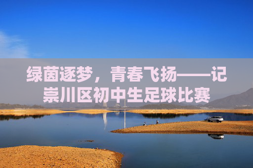绿茵逐梦,青春飞扬——记崇川区初中生足球比赛