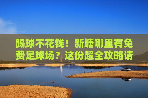 踢球不花钱!新塘哪里有免费足球场?这份超全攻略请收好