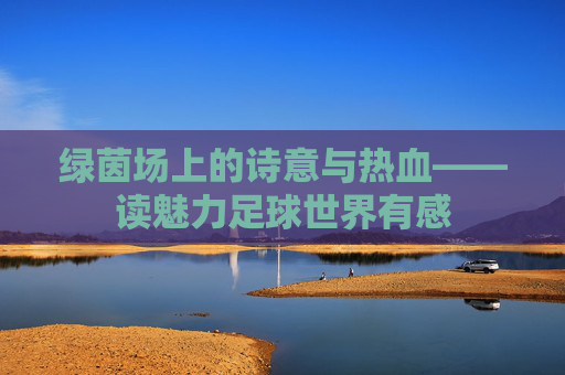 绿茵场上的诗意与热血——读魅力足球世界有感