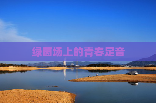 绿茵场上的青春足音