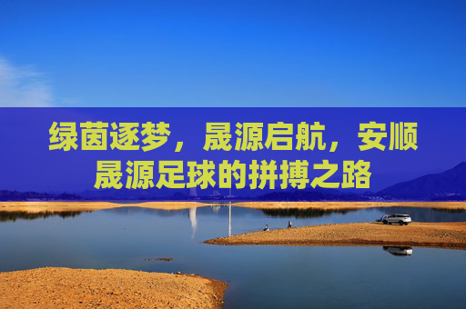 绿茵逐梦,晟源启航,安顺晟源足球的拼搏之路