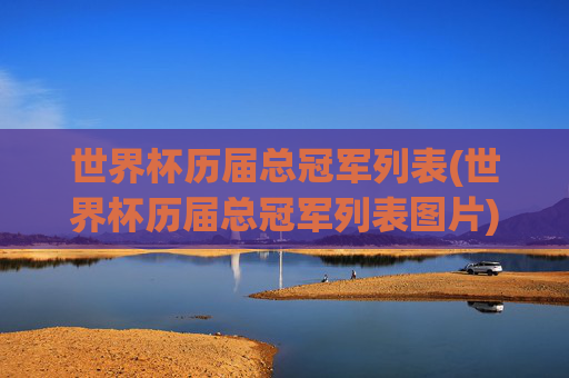 世界杯历届总冠军列表(世界杯历届总冠军列表图片)