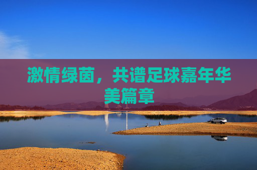 激情绿茵,共谱足球嘉年华美篇章