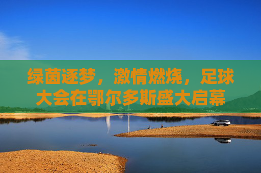 绿茵逐梦,激情燃烧,足球大会在鄂尔多斯盛大启幕