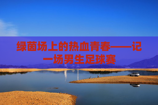 绿茵场上的热血青春——记一场男生足球赛