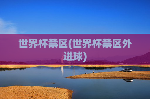 世界杯禁区(世界杯禁区外进球)