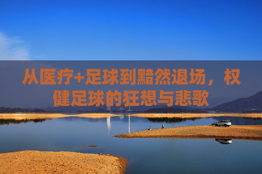 从医疗+足球到黯然退场,权健足球的狂想与悲歌