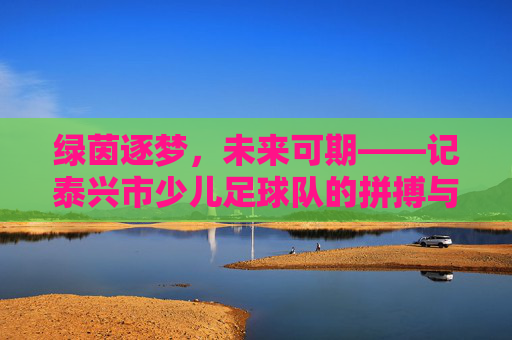 绿茵逐梦，未来可期——记泰兴市少儿足球队的拼搏与成长