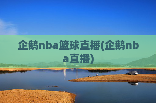 企鹅nba篮球直播(企鹅nba直播)