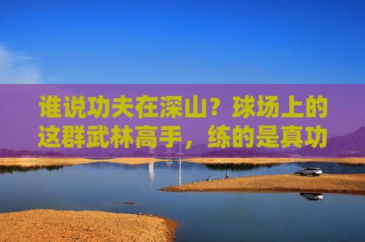 谁说功夫在深山？球场上的这群武林高手，练的是真功夫