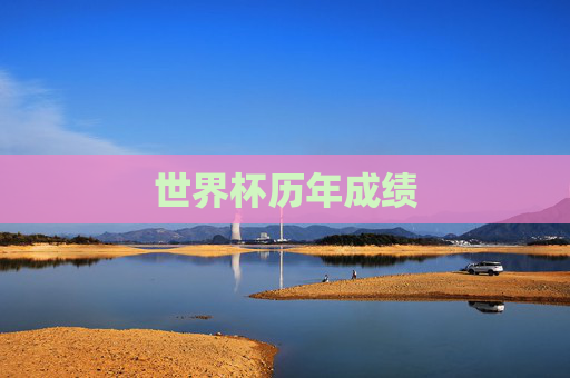 世界杯历年成绩