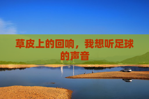 草皮上的回响，我想听足球的声音