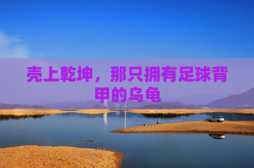 壳上乾坤，那只拥有足球背甲的乌龟