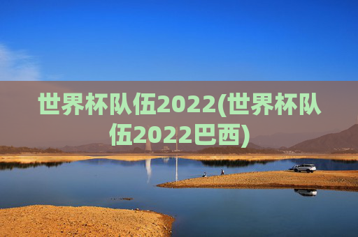 世界杯队伍2022(世界杯队伍2022巴西)