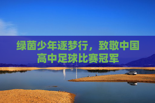 绿茵少年逐梦行，致敬中国高中足球比赛冠军