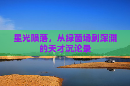 星光陨落，从绿茵场到深渊的天才沉沦录