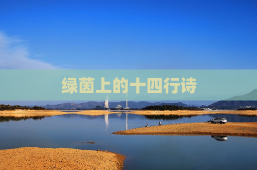 绿茵上的十四行诗