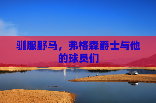 驯服野马，弗格森爵士与他的球员们