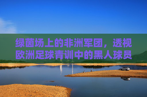 绿茵场上的非洲军团，透视欧洲足球青训中的黑人球员现象与困境