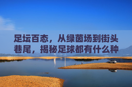 足坛百态,从绿茵场到街头巷尾,揭秘足球都有什么种类