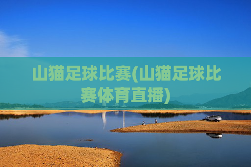 山猫足球比赛(山猫足球比赛体育直播)