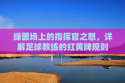 绿茵场上的指挥官之怒，详解足球教练的红黄牌规则