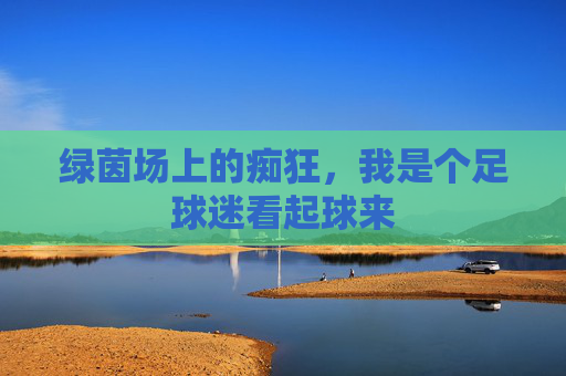 绿茵场上的痴狂，我是个足球迷看起球来