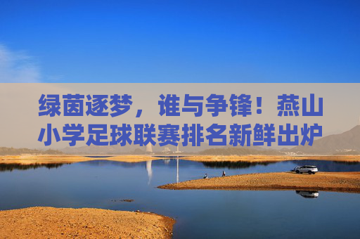 绿茵逐梦，谁与争锋！燕山小学足球联赛排名新鲜出炉