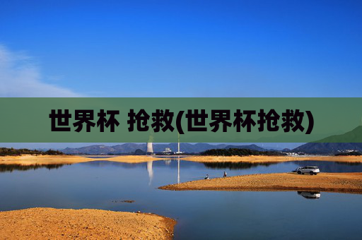 世界杯 抢救(世界杯抢救)