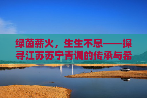 绿茵薪火，生生不息——探寻江苏苏宁青训的传承与希望