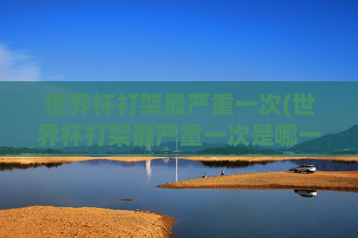 世界杯打架最严重一次(世界杯打架最严重一次是哪一年)