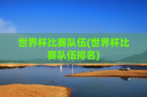 世界杯比赛队伍(世界杯比赛队伍排名)
