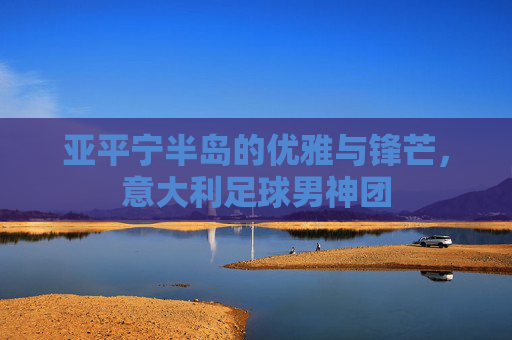亚平宁半岛的优雅与锋芒，意大利足球男神团